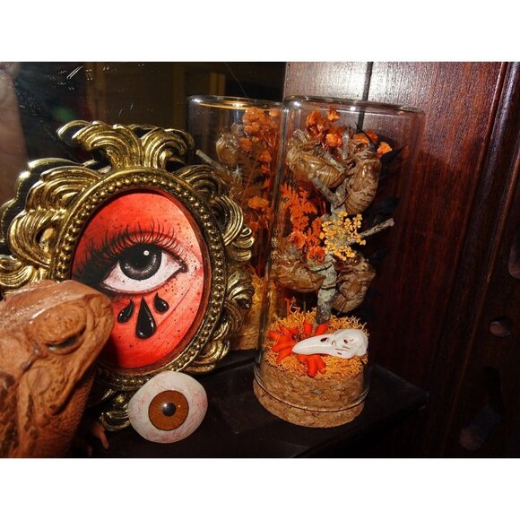 Cicada Skins Autumn Flowers Nature Art Oddity Jar mini Raven Skull goth witchy - Picture 6 of 16